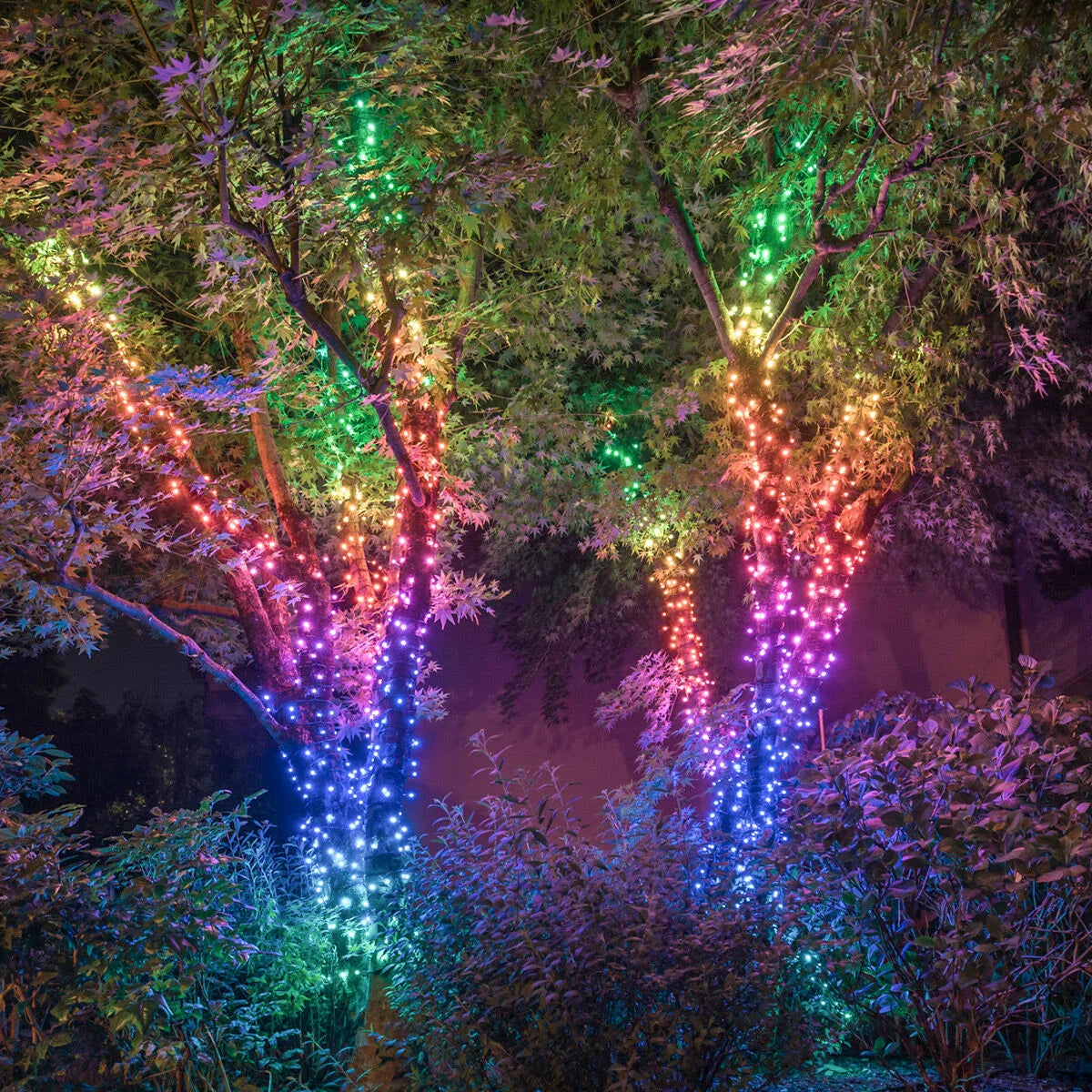 App Controlled Christmas Tree Lights